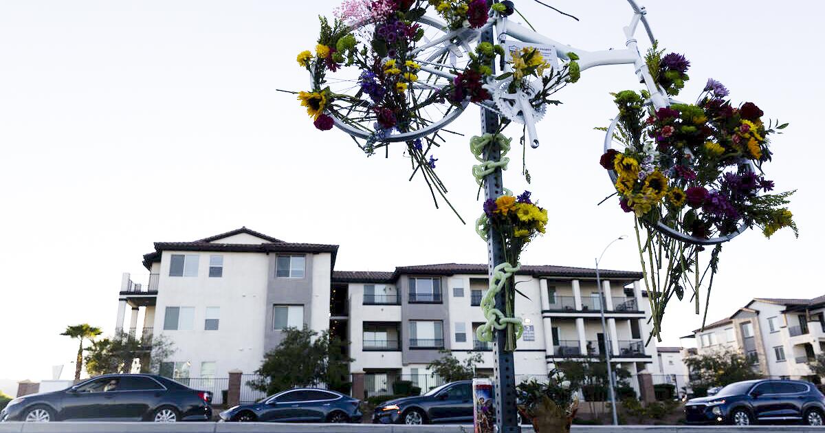 Las Vegas teens charged with murder in videotaped hit-and-run