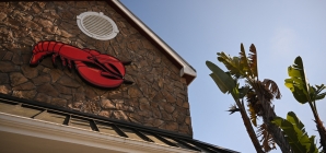 Red Lobster Are Not the Only Restaurants Closing Down